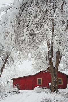 Barn