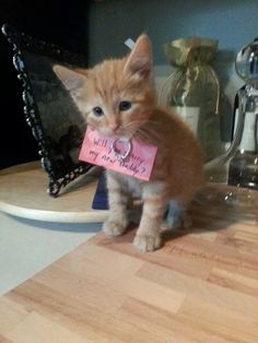 50 romantic proposal