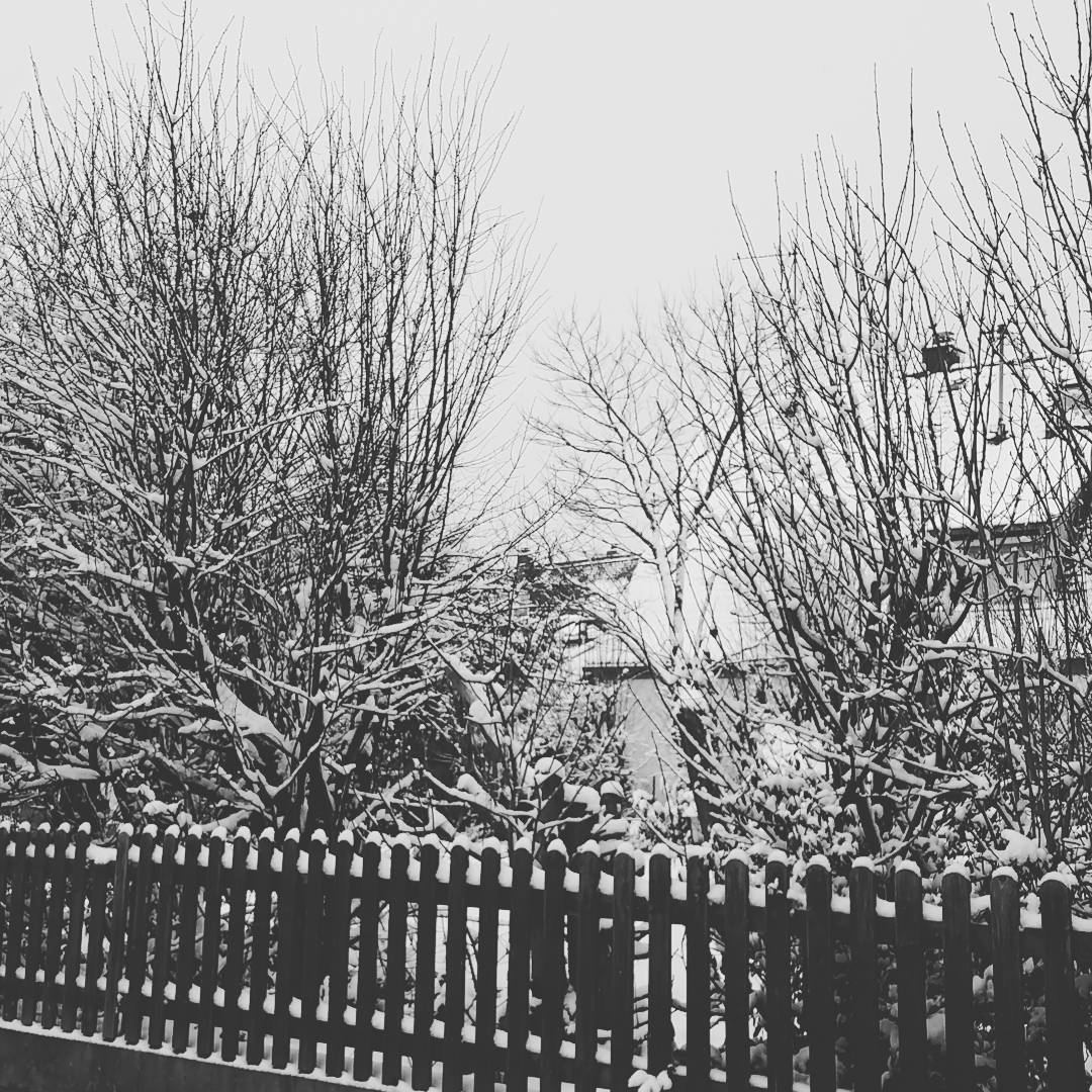 Gebraucht hätt ichs nicht, aber jetzt wo er da ist siehts schon hübsch aus #schnee #winter #winterwonderland